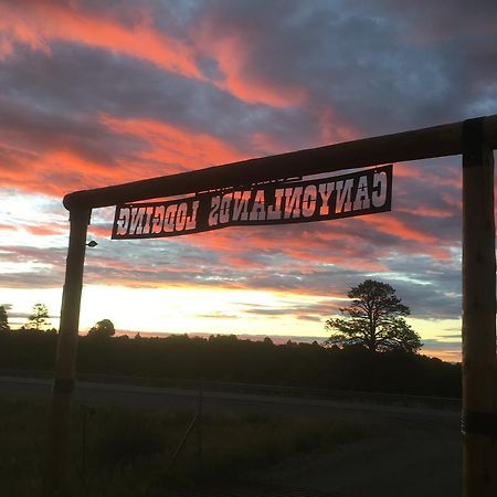 Lupine Cabin, Glamour Camping, Stunning Skies And Sunrise Views Monticello Bagian luar foto