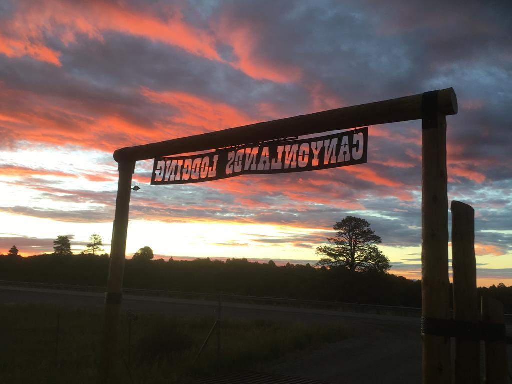 Lupine Cabin, Glamour Camping, Stunning Skies And Sunrise Views Monticello Bagian luar foto